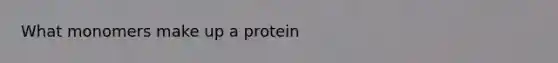 What monomers make up a protein