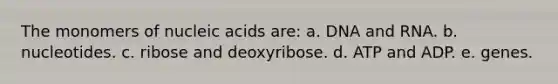 The monomers of nucleic acids are: a. DNA and RNA. b. nucleotides. c. ribose and deoxyribose. d. ATP and ADP. e. genes.