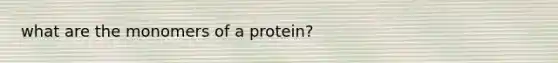 what are the monomers of a protein?