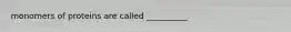 monomers of proteins are called __________
