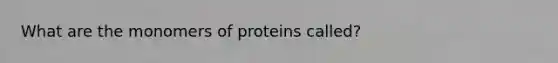 What are the monomers of proteins called?