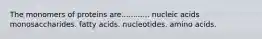 The monomers of proteins are............ nucleic acids monosaccharides. fatty acids. nucleotides. amino acids.