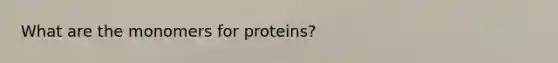 What are the monomers for proteins?