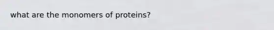 what are the monomers of proteins?