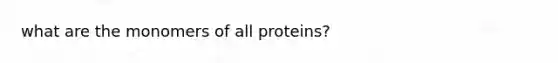 what are the monomers of all proteins?