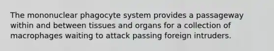 The mononuclear phagocyte system provides a passageway within and between tissues and organs for a collection of macrophages waiting to attack passing foreign intruders.