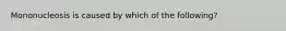 Mononucleosis is caused by which of the following?