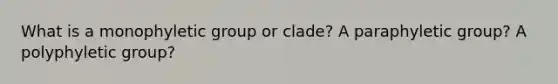 What is a monophyletic group or clade? A paraphyletic group? A polyphyletic group?