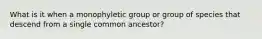 What is it when a monophyletic group or group of species that descend from a single common ancestor?