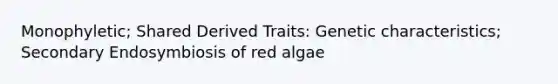 Monophyletic; Shared Derived Traits: Genetic characteristics; Secondary Endosymbiosis of red algae