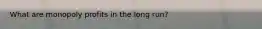 What are monopoly profits in the long run?