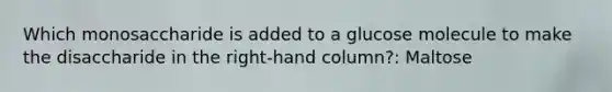 Which monosaccharide is added to a glucose molecule to make the disaccharide in the right-hand column?: Maltose