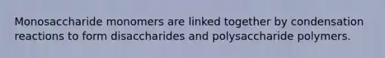 Monosaccharide monomers are linked together by condensation reactions to form disaccharides and polysaccharide polymers.