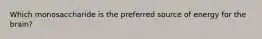 Which monosaccharide is the preferred source of energy for the brain?