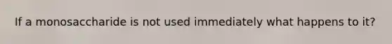 If a monosaccharide is not used immediately what happens to it?