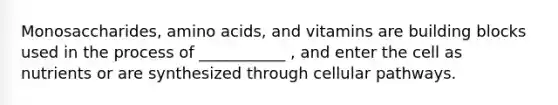 Monosaccharides, amino acids, and vitamins are building blocks used in the process of ___________ , and enter the cell as nutrients or are synthesized through cellular pathways.