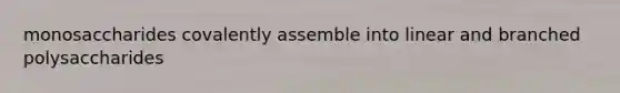 monosaccharides covalently assemble into linear and branched polysaccharides