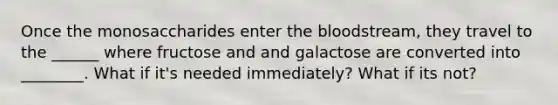 Once the monosaccharides enter <a href='https://www.questionai.com/knowledge/k7oXMfj7lk-the-blood' class='anchor-knowledge'>the blood</a>stream, they travel to the ______ where fructose and and galactose are converted into ________. What if it's needed immediately? What if its not?