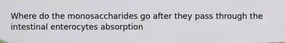 Where do the monosaccharides go after they pass through the intestinal enterocytes absorption