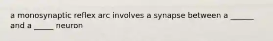 a monosynaptic reflex arc involves a synapse between a ______ and a _____ neuron