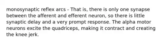 monosynaptic reflex arcs - That is, there is only one synapse between the afferent and efferent neuron, so there is little synaptic delay and a very prompt response. The alpha motor neurons excite the quadriceps, making it contract and creating the knee jerk.