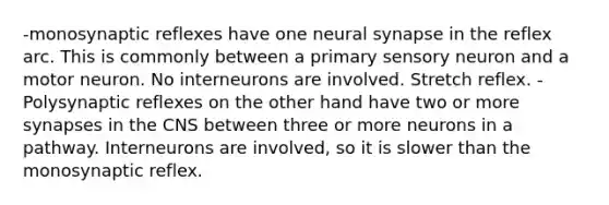 -monosynaptic reflexes have one neural synapse in the reflex arc. This is commonly between a primary sensory neuron and a motor neuron. No interneurons are involved. Stretch reflex. -Polysynaptic reflexes on the other hand have two or more synapses in the CNS between three or more neurons in a pathway. Interneurons are involved, so it is slower than the monosynaptic reflex.