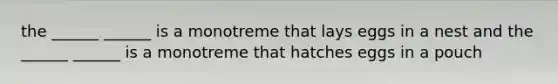 the ______ ______ is a monotreme that lays eggs in a nest and the ______ ______ is a monotreme that hatches eggs in a pouch