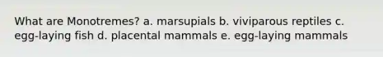 What are Monotremes? a. marsupials b. viviparous reptiles c. egg-laying fish d. placental mammals e. egg-laying mammals