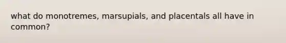 what do monotremes, marsupials, and placentals all have in common?