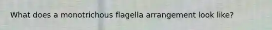 What does a monotrichous flagella arrangement look like?