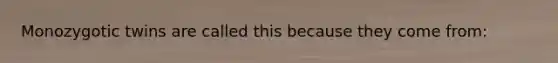 Monozygotic twins are called this because they come from: