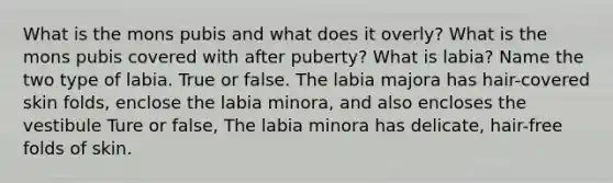 What is the mons pubis and what does it overly? What is the mons pubis covered with after puberty? What is labia? Name the two type of labia. True or false. The labia majora has hair-covered skin folds, enclose the labia minora, and also encloses the vestibule Ture or false, The labia minora has delicate, hair-free folds of skin.