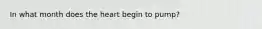 In what month does the heart begin to pump?