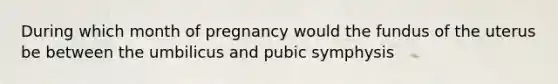 During which month of pregnancy would the fundus of the uterus be between the umbilicus and pubic symphysis