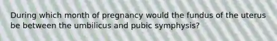 During which month of pregnancy would the fundus of the uterus be between the umbilicus and pubic symphysis?