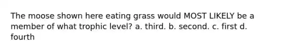 The moose shown here eating grass would MOST LIKELY be a member of what trophic level? a. third. b. second. c. first d. fourth