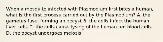 When a mosquito infected with Plasmodium first bites a human, what is the first process carried out by the Plasmodium? A. the gametes fuse, forming an oocyst B. the cells infect the human liver cells C. the cells cause lysing of the human red blood cells D. the oocyst undergoes meiosis