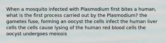 When a mosquito infected with Plasmodium first bites a human, what is the first process carried out by the Plasmodium? the gametes fuse, forming an oocyst the cells infect the human liver cells the cells cause lysing of the human red blood cells the oocyst undergoes meiosis