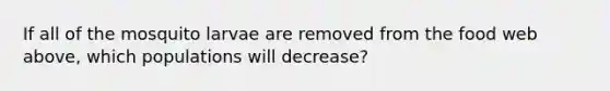 If all of the mosquito larvae are removed from the food web above, which populations will decrease?