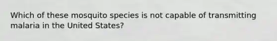 Which of these mosquito species is not capable of transmitting malaria in the United States?