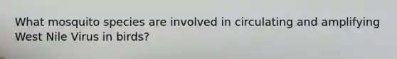 What mosquito species are involved in circulating and amplifying West Nile Virus in birds?