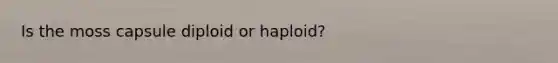 Is the moss capsule diploid or haploid?