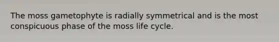 The moss gametophyte is radially symmetrical and is the most conspicuous phase of the moss life cycle.