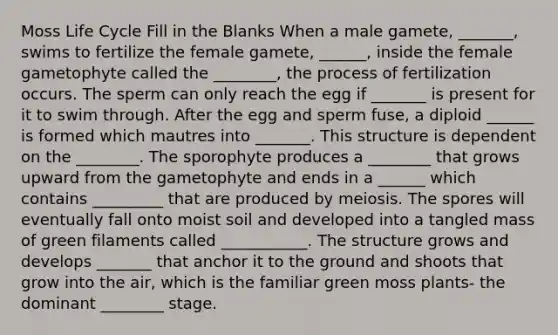 Moss Life Cycle Fill in the Blanks When a male gamete, _______, swims to fertilize the female gamete, ______, inside the female gametophyte called the ________, the process of fertilization occurs. The sperm can only reach the egg if _______ is present for it to swim through. After the egg and sperm fuse, a diploid ______ is formed which mautres into _______. This structure is dependent on the ________. The sporophyte produces a ________ that grows upward from the gametophyte and ends in a ______ which contains _________ that are produced by meiosis. The spores will eventually fall onto moist soil and developed into a tangled mass of green filaments called ___________. The structure grows and develops _______ that anchor it to the ground and shoots that grow into the air, which is the familiar green moss plants- the dominant ________ stage.