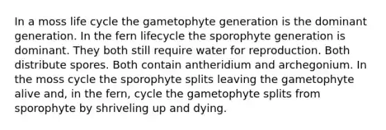 In a moss life cycle the gametophyte generation is the dominant generation. In the fern lifecycle the sporophyte generation is dominant. They both still require water for reproduction. Both distribute spores. Both contain antheridium and archegonium. In the moss cycle the sporophyte splits leaving the gametophyte alive and, in the fern, cycle the gametophyte splits from sporophyte by shriveling up and dying.