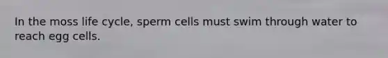 In the moss life cycle, sperm cells must swim through water to reach egg cells.