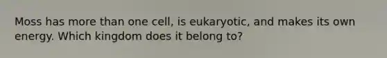 Moss has more than one cell, is eukaryotic, and makes its own energy. Which kingdom does it belong to?