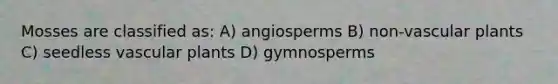 Mosses are classified as: A) angiosperms B) non-vascular plants C) seedless vascular plants D) gymnosperms
