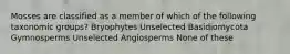 Mosses are classified as a member of which of the following taxonomic groups? Bryophytes Unselected Basidiomycota Gymnosperms Unselected Angiosperms None of these