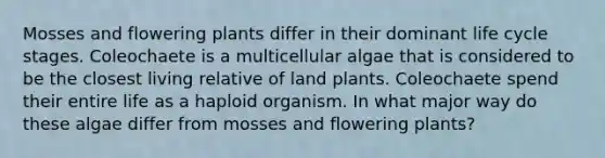 Mosses and flowering plants differ in their dominant life cycle stages. Coleochaete is a multicellular algae that is considered to be the closest living relative of land plants. Coleochaete spend their entire life as a haploid organism. In what major way do these algae differ from mosses and flowering plants?